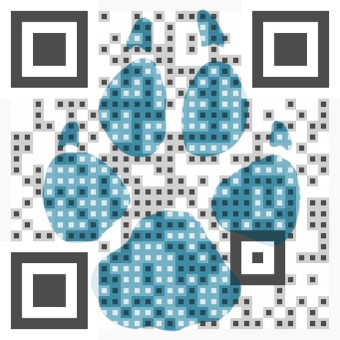 Visual QR Code