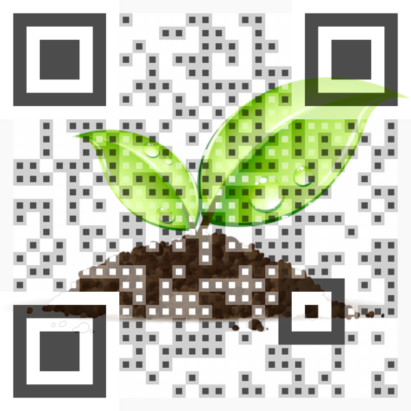 Visual QR Code