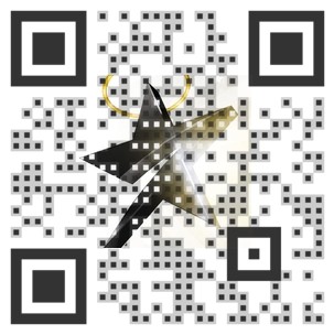 Visual QR Code QR Code design Visual QR Code