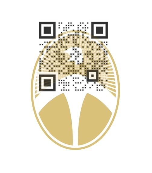 Visual QR Code