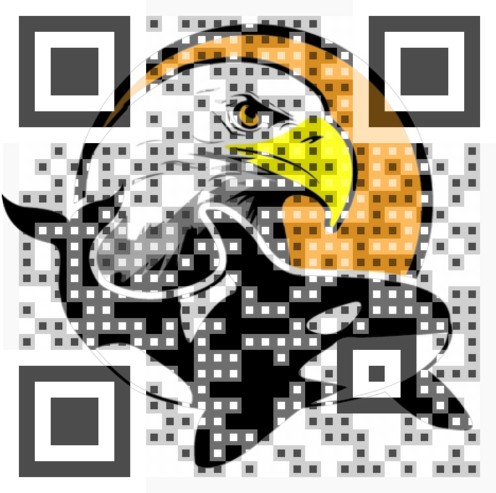 Visual QR Code