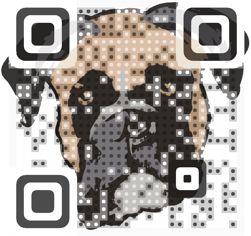 Visual QR Code