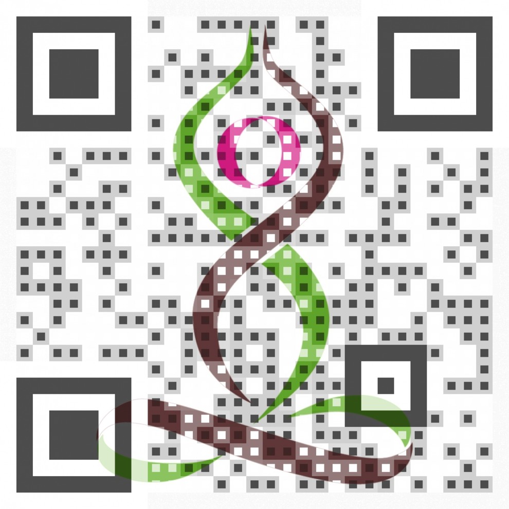 Visual QR Code