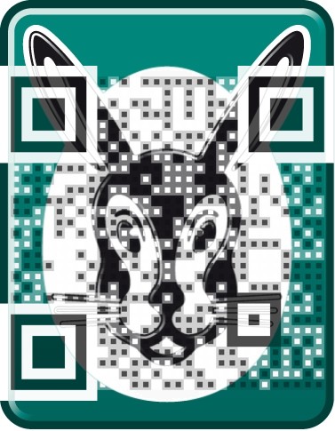 Vaillant QR Code