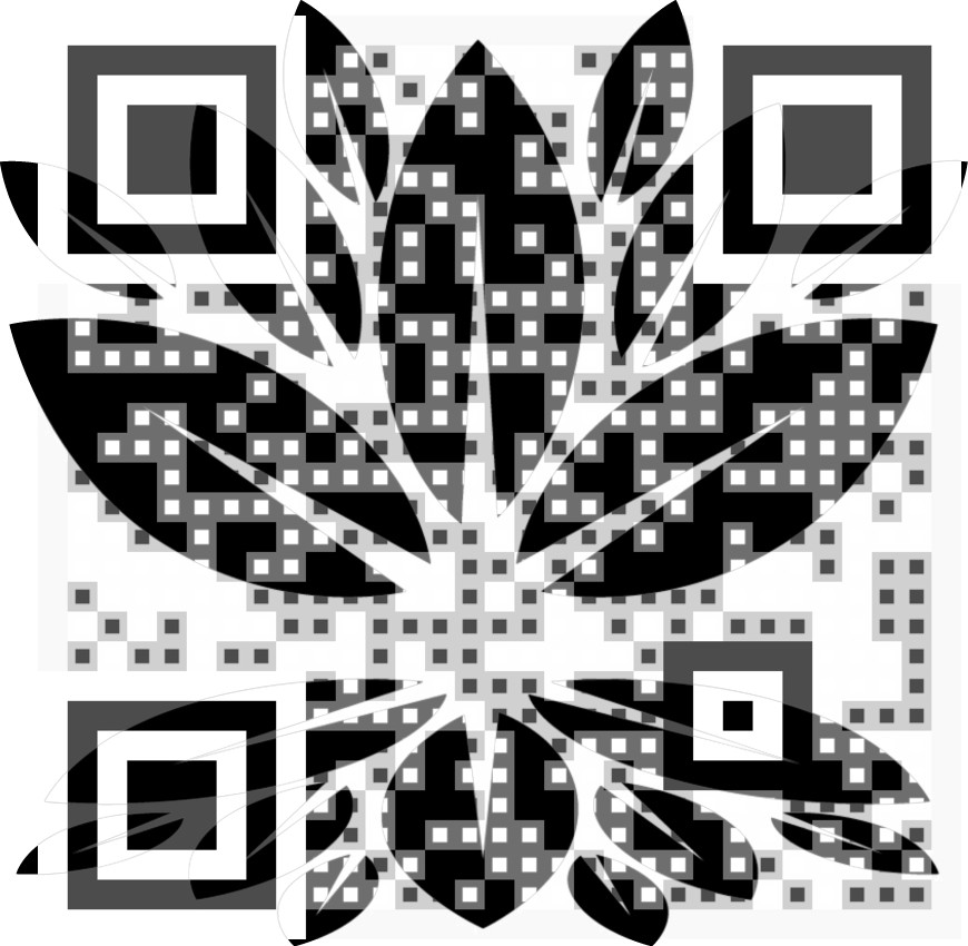Visual QR Code make qrcode Visual QR Code