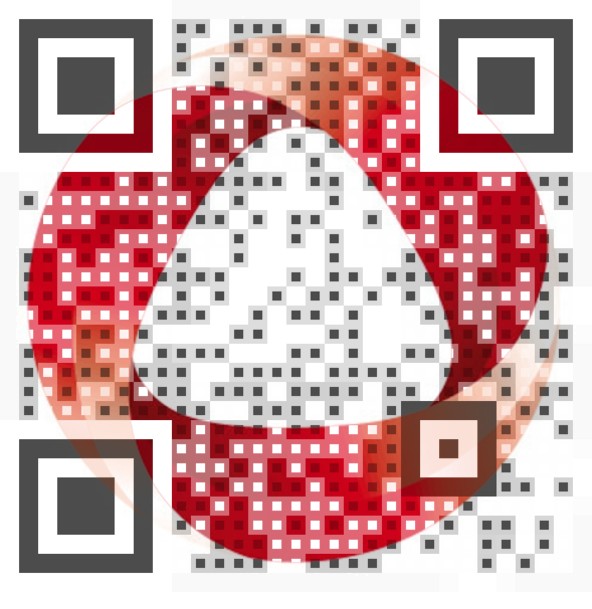 Visual QR Code