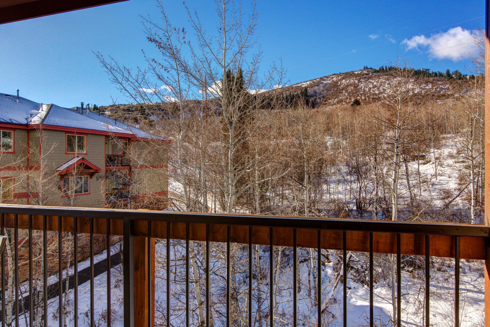 Bear Hollow Lodges 3401: The Wasatch Mountain range towers in the distance from the covered porch just off the living room. Here, you can sip your morning coffee or afternoon beverage as you take in its majestic beauty.