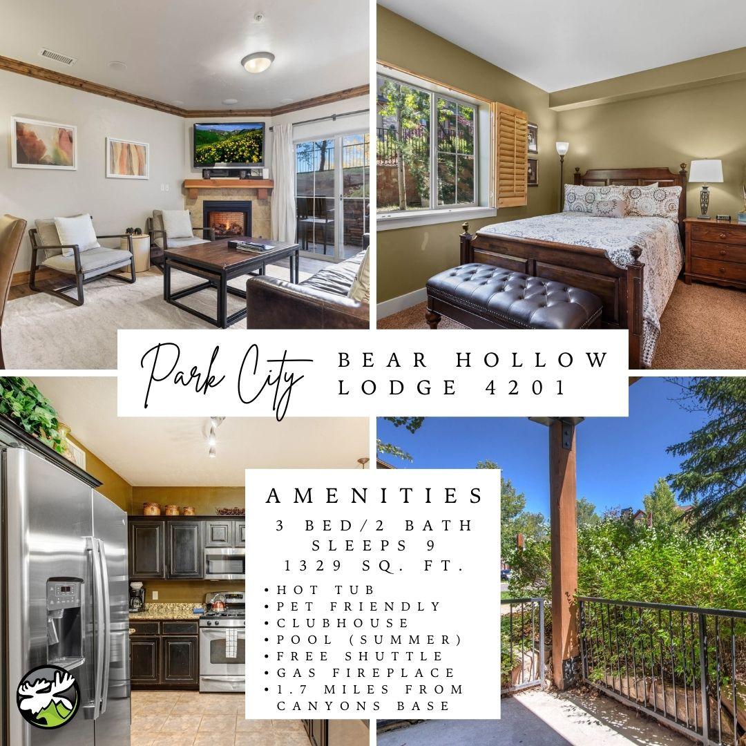 Bear Hollow 4201 by Moose Management Cover Photo