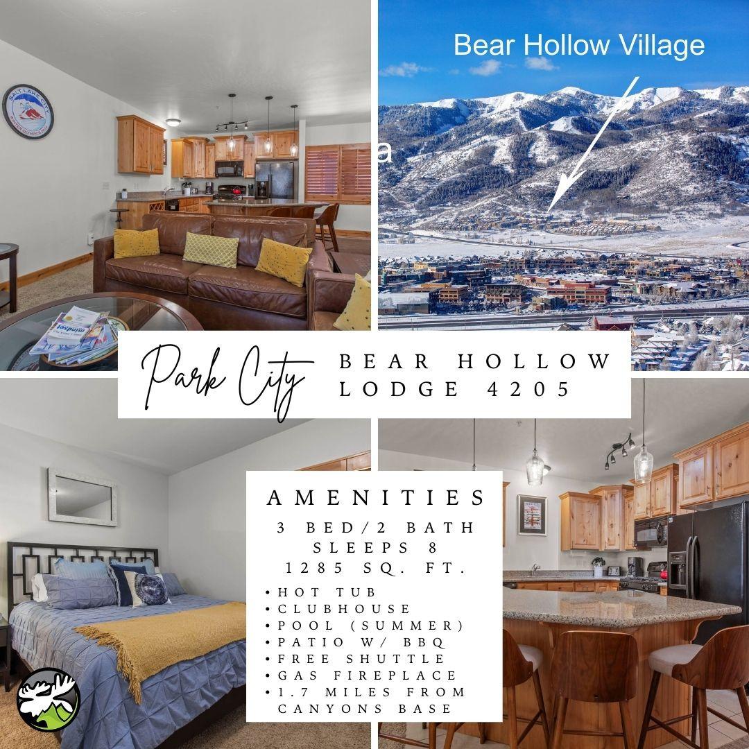 Bear Hollow 4205 by Moose Management Cover Photo