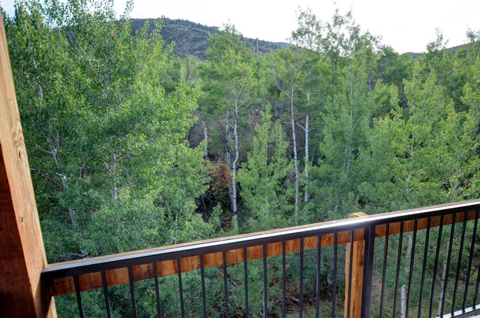 Bear Hollow Lodges 3401: The balcony that is just off the main living area brings the breath taking outside views in.