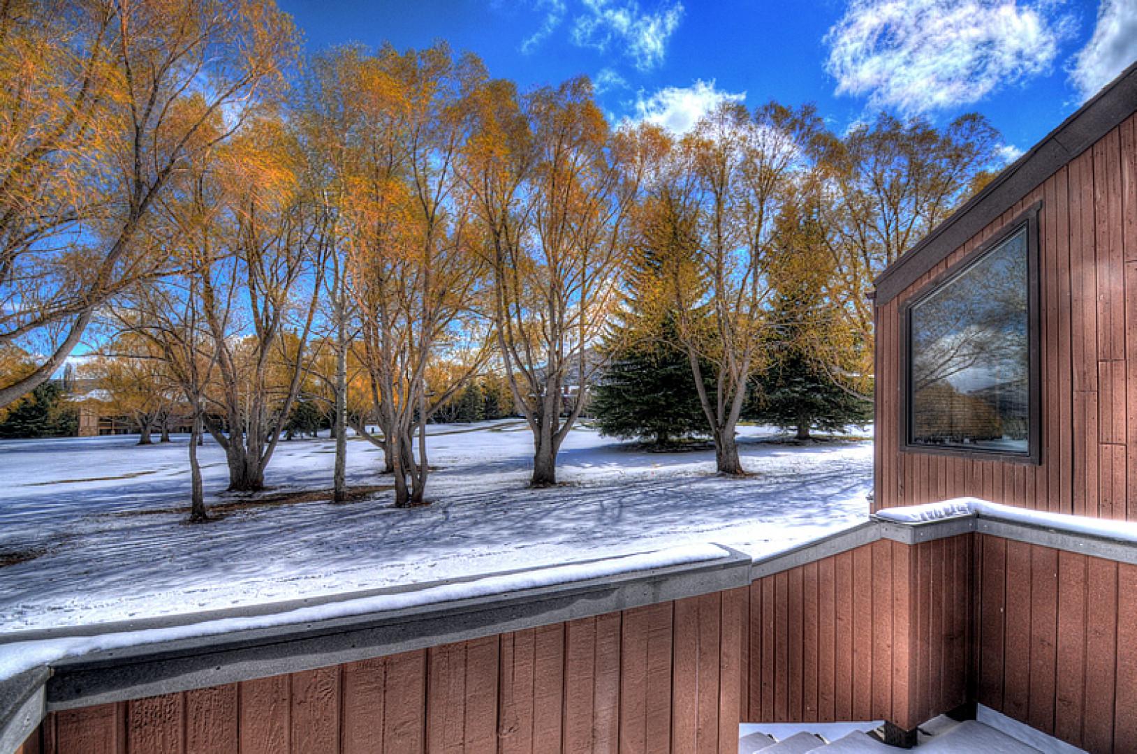 Snowy Patio