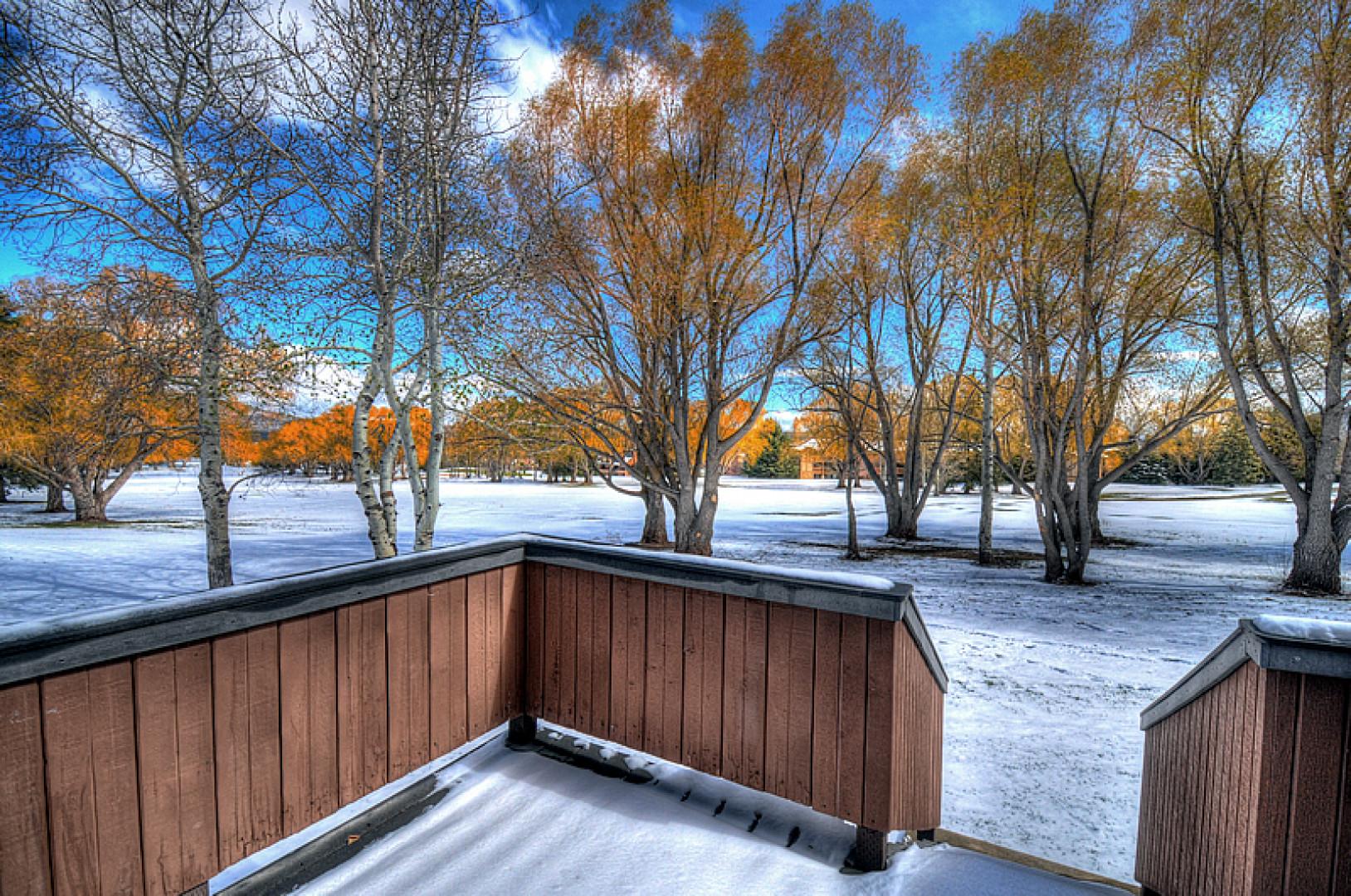 Snowy Patio