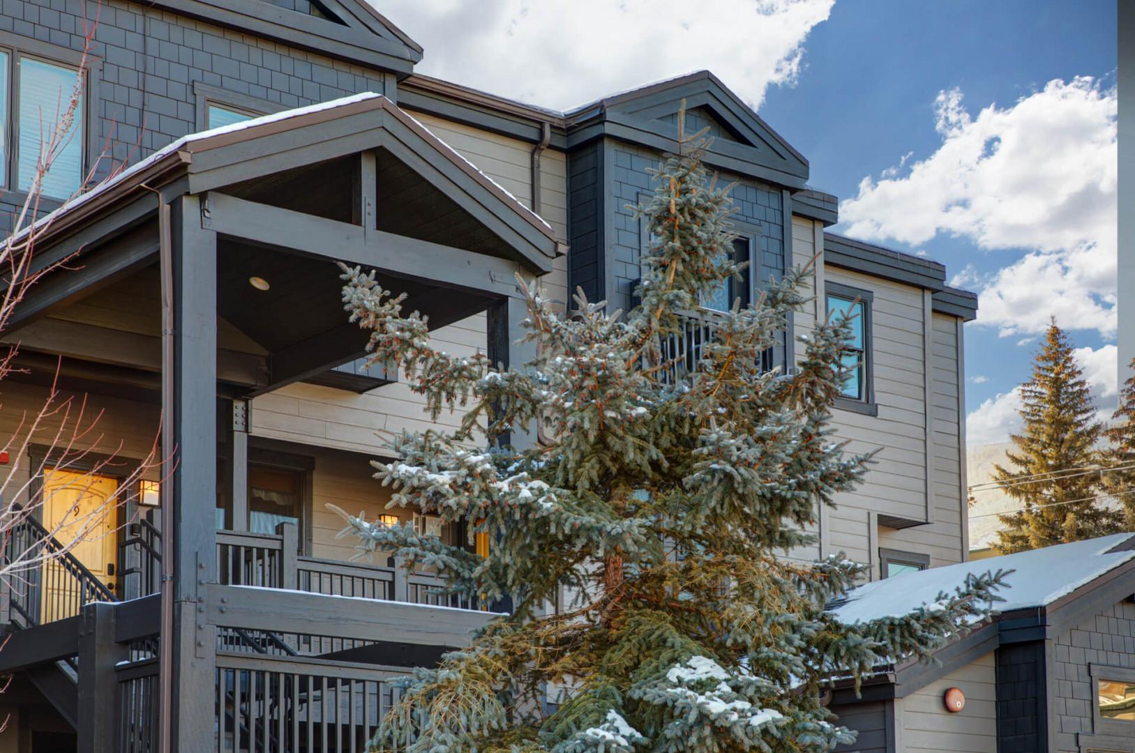 Modern mountain retreat with snow-dusted evergreens and contemporary architecture creates a perfect winter getaway setting.