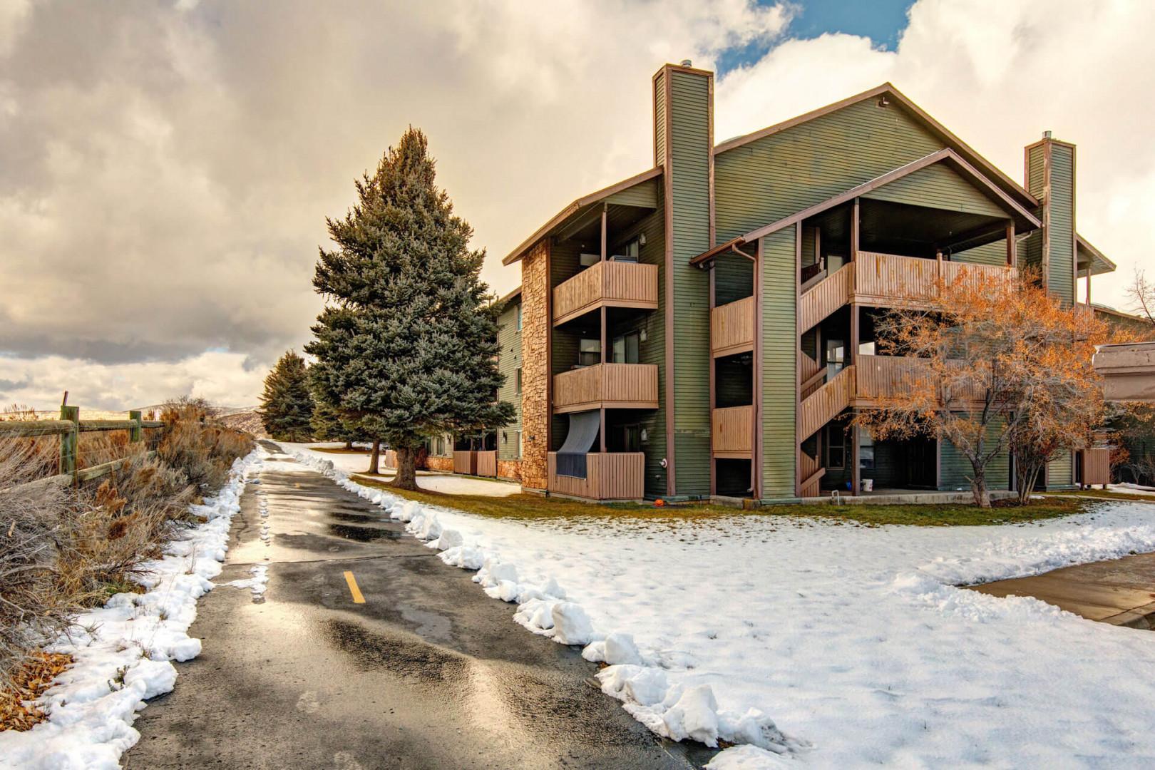 Powderwood Pines 13X: