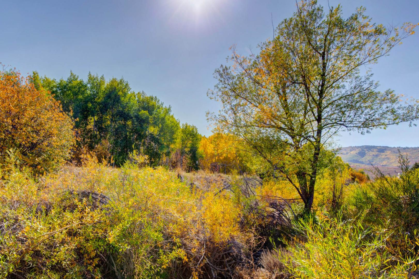 Vacation Rentals in Park City at Prospector Lodge 925: Summer