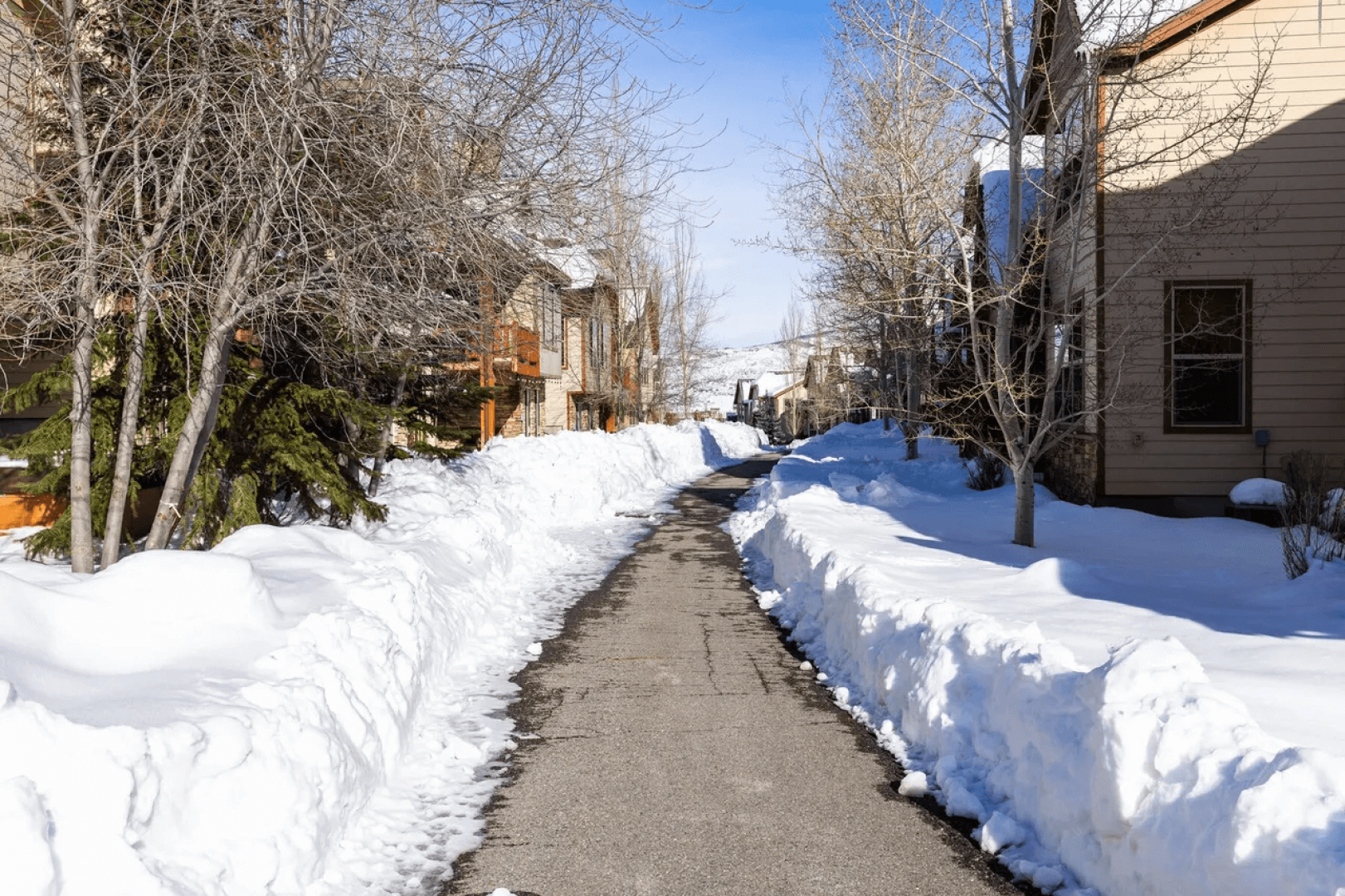 Snow-lined sidewalk leads through a peaceful residential neighborhood with charming homes and clear winter skies.