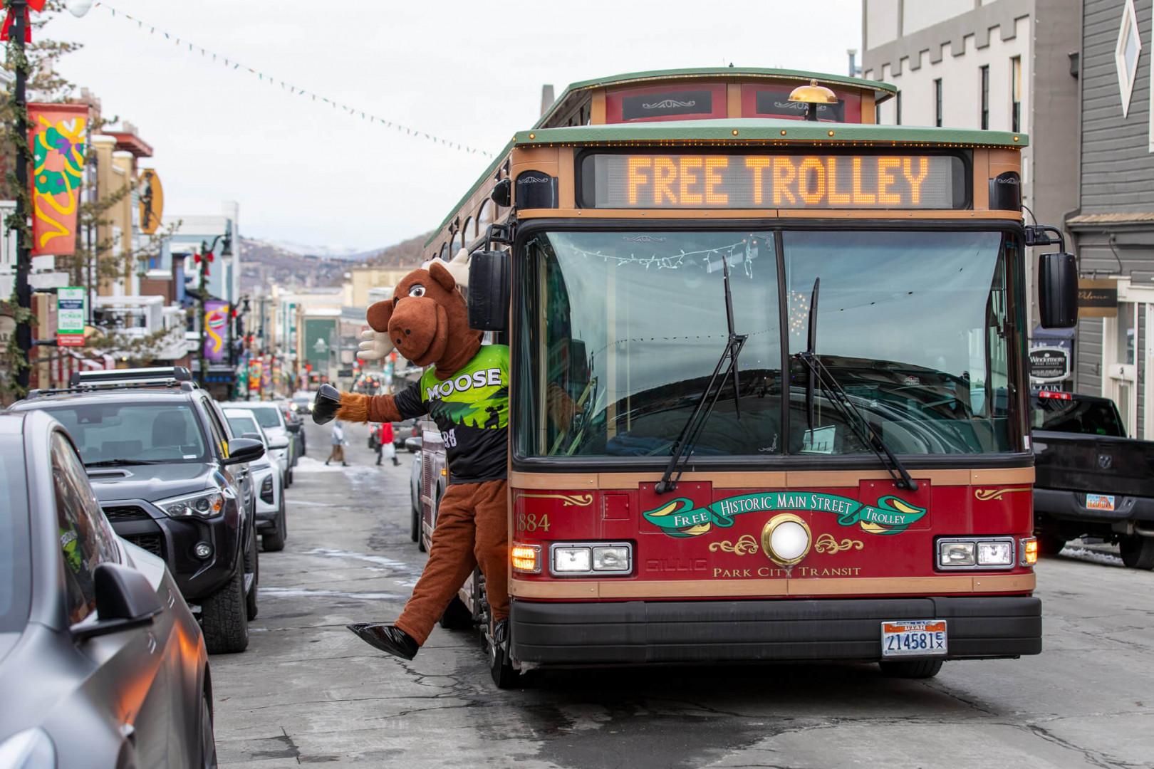Moose on Trolley