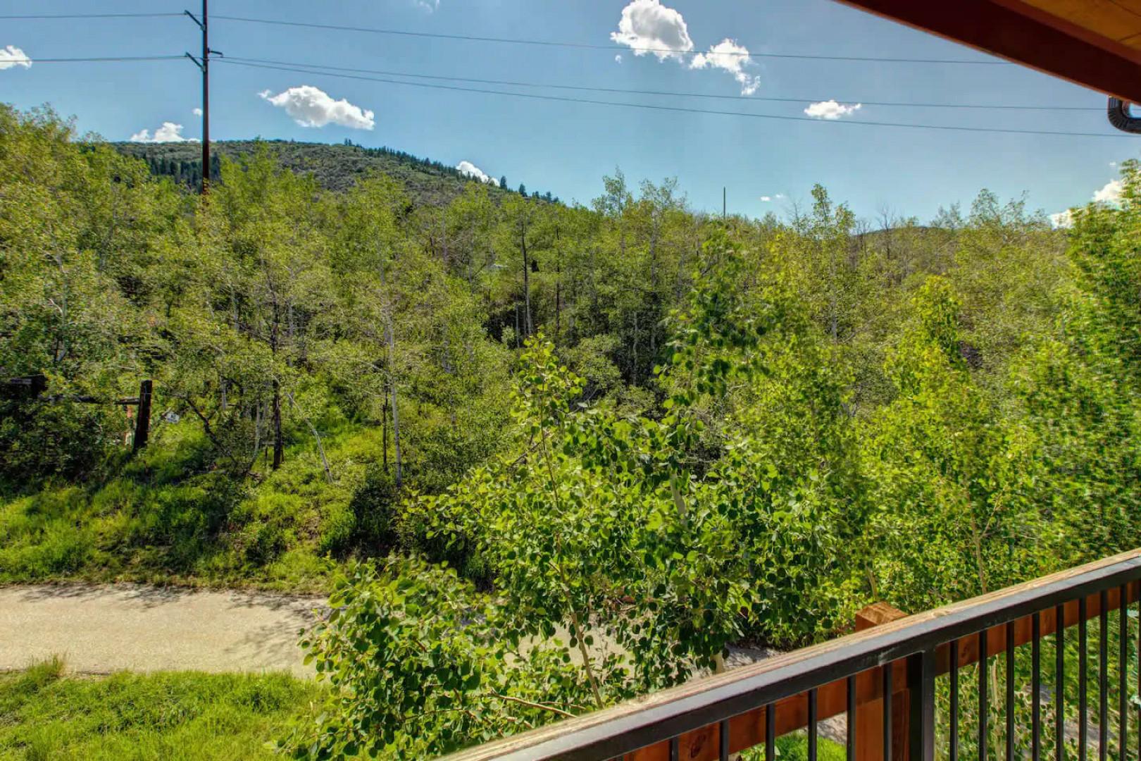 Bear Hollow 1404: Treetop view from the 4th floor balcony. Take a deep breath.