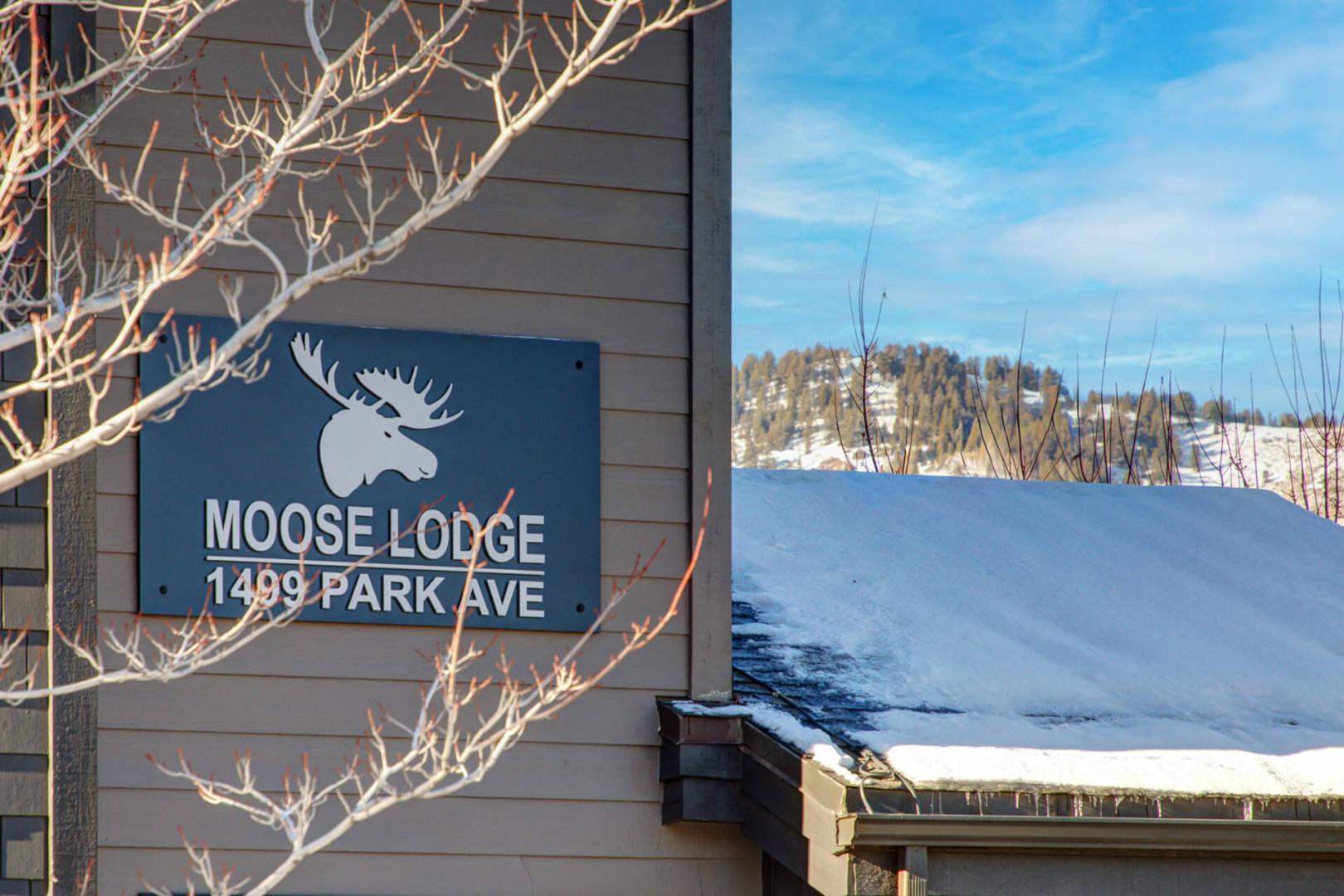 Moose Lodge offers a charming winter retreat with snowy lakefront views and cozy mountain atmosphere.