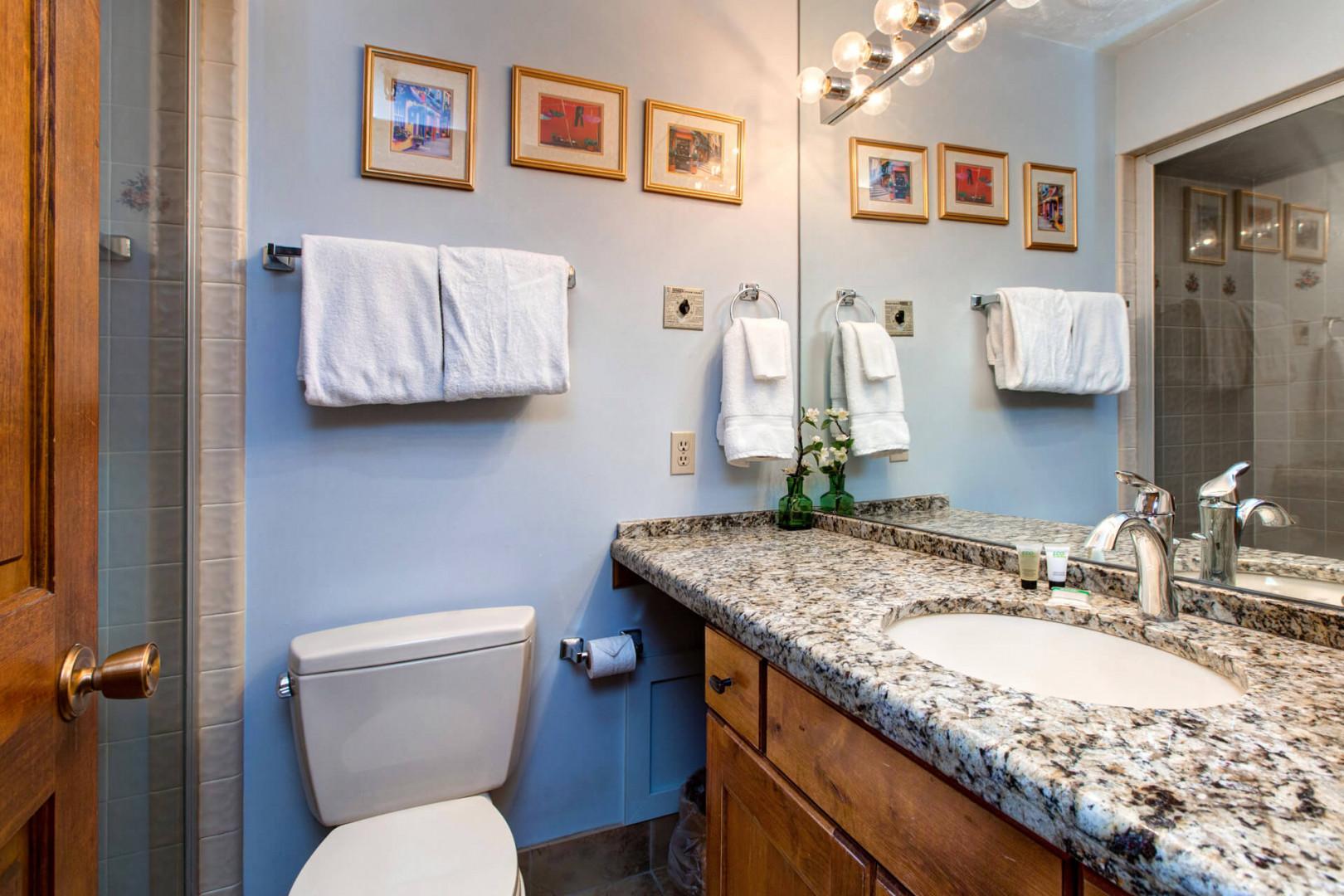 Ski Team 4 - Guest Bathroom