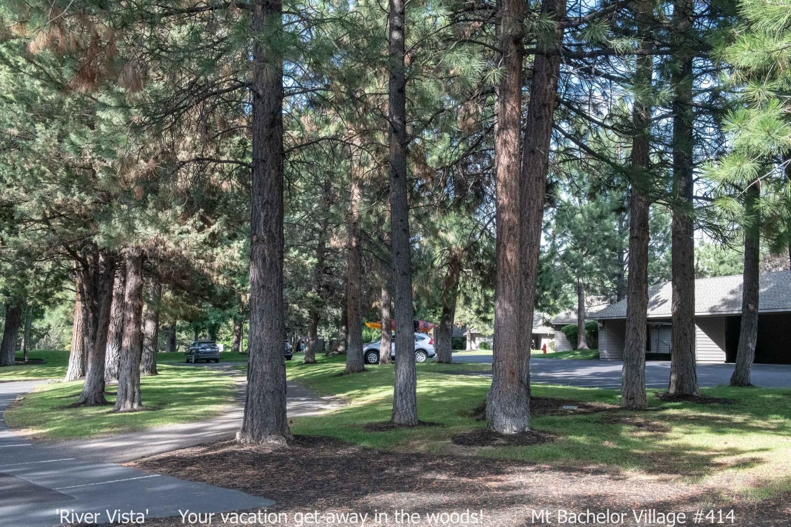 river woods baby outlet