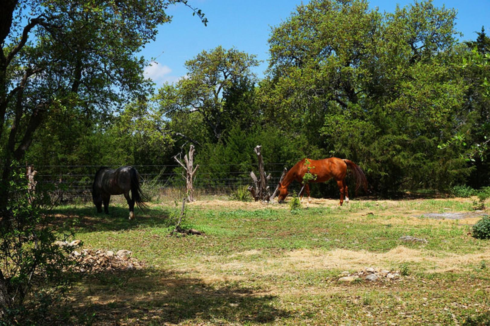 Three Horses Ranch