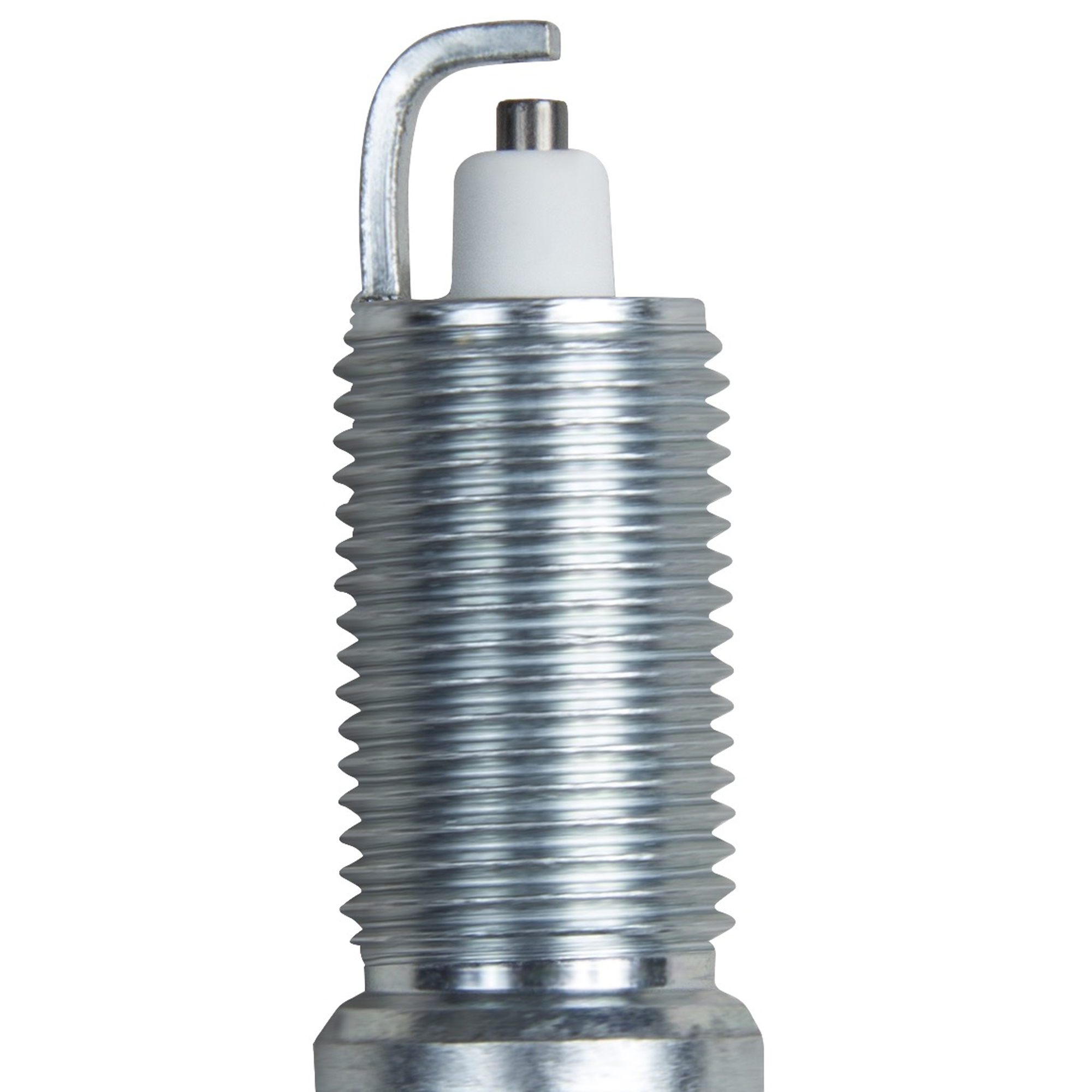 CHAMPION 7440