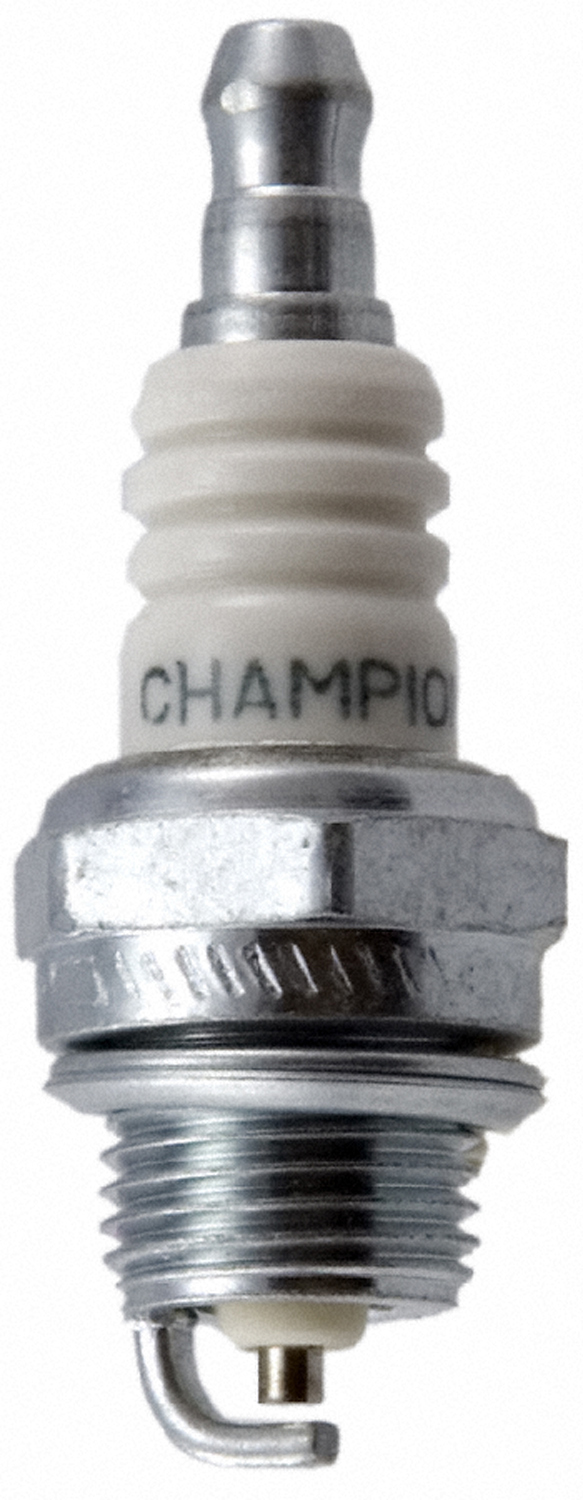 CHAMPION 8481