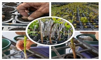 image_ad13b54a-5e9d-4527-b80c-da81ac0ee4a320220110_182123