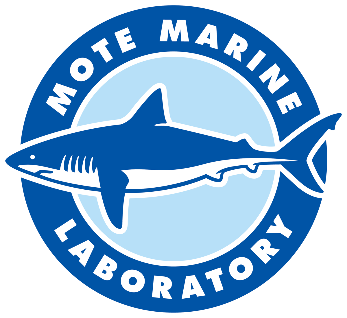 Mote SEA Interview Schedule Mote sea interview schedule