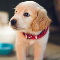 Securities Enforcement and Litigation