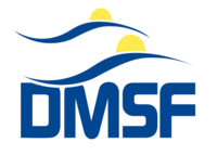 DMSF Committees