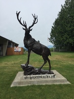 Bremerton Elks Volunteer Opportunties