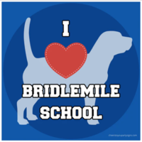 Bridlemile Volunteer Opportunities