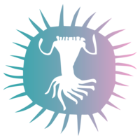 AfrikaBurn 2025 Volunteer Shifts