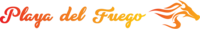 Playa del Fuego 2025 Volunteers