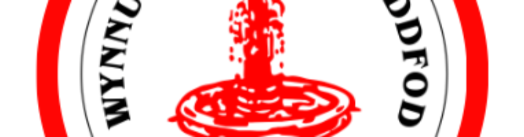 Wynnum Manly Eisteddfod Volunteers