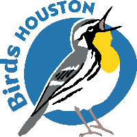 Birds Houston Volunteers
