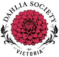 Dahlia Society of Victoria