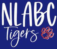 NORTHERN LIGHTS ABC SCHOOL