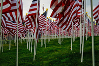 Field of Honor Flag Display, Nixon, TX