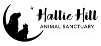 Hallie Hill Volunteers