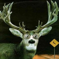 How to Manage Jet Lag Effectively?