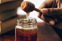 CBD oil on the market today