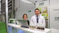 Cbd Oil For Sale - Buy Cbd Oil - Organic
