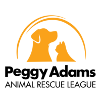 Trap Neuter Vaccinate Return