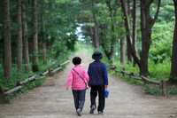 Top adventure to experience in Dharamsha