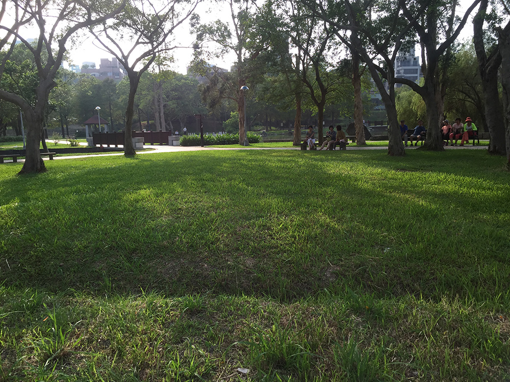 (拍攝:iPhone 6, SNAP!PRO, 濾光) 旋轉改變角度後就與前一張很不一樣。