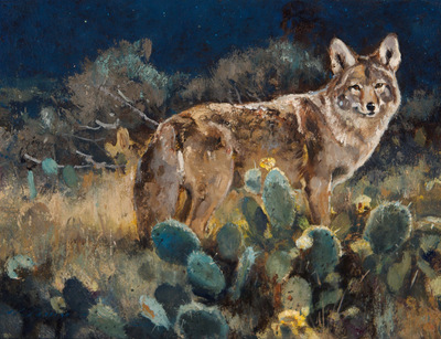 Moonlight coyote