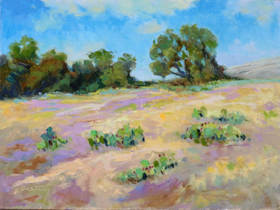Hill country typical 9x12
